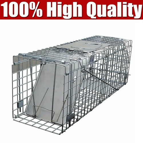 Cat trap for stray - trap,