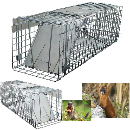 Large humane live animal - large,