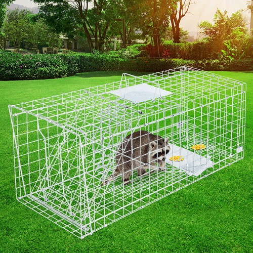 Animal traps cage for squirrel - cage,