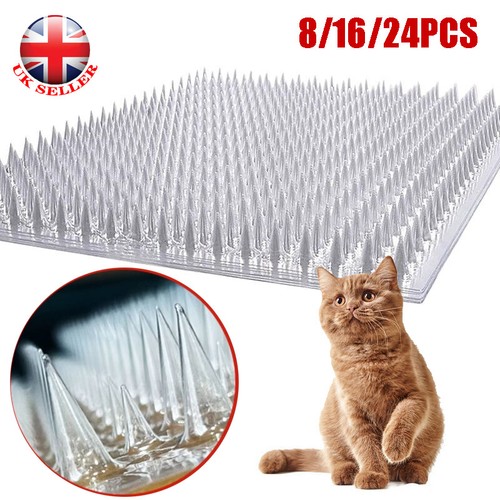 Cat scat mat spike - 8/16/24,