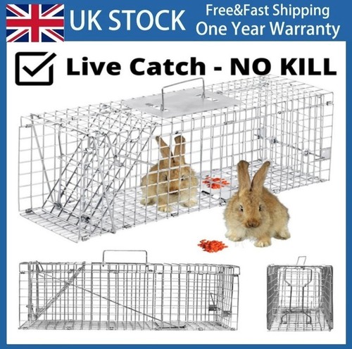 Extra large animal trap cage - large,
