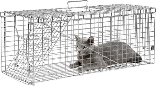Inch foldable live - inch, animal