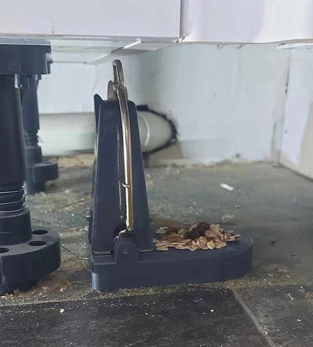 Black cat rat trap - black,