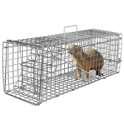 Live animal cage trap - animal,