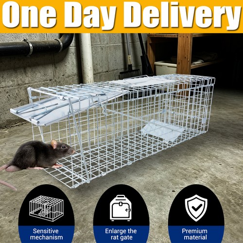 Live animal cage trap - live,