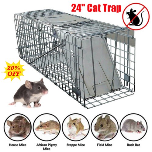 Humane squirrel trap heavy - squirrel,
