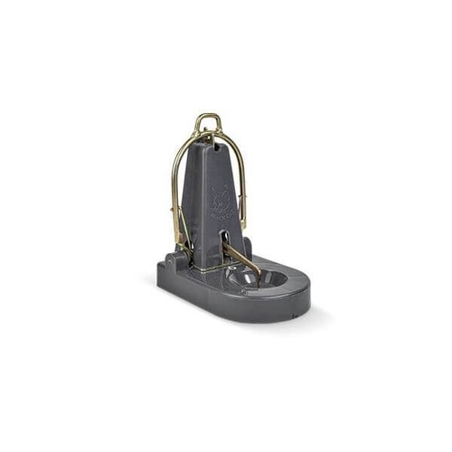 Black cat nano rat - nano,